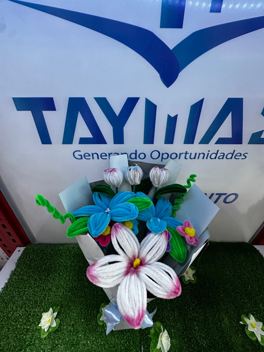 ROSAS 2